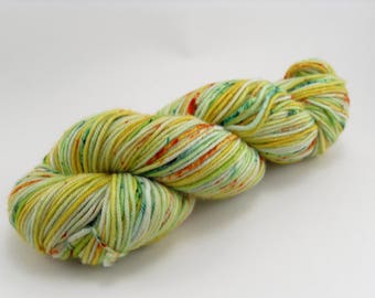 Hand Dyed Yarn Speckle Gourds MCN DK handdyed hand-dyed