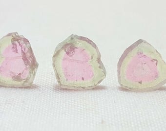 8 ct watermelon Tourmaline slice lot
