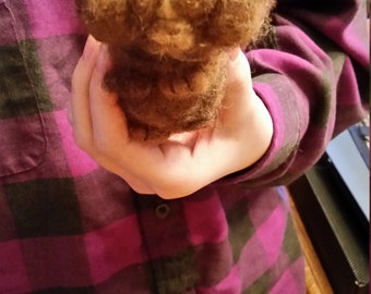 Needle felted guinea pig, Needle felted animals,needle felted collectables ,alpaca felted