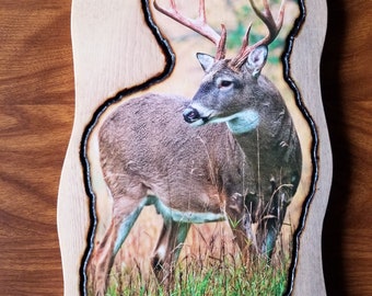 Deer wall hanging