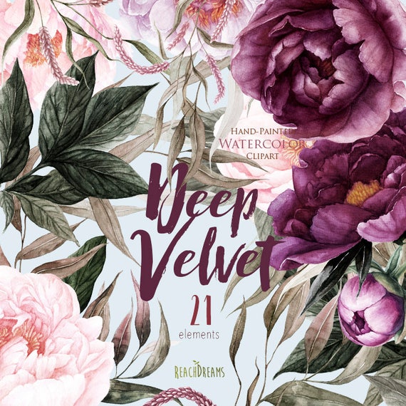 Flower Sketches: Peonies Flowers Watercolor, Floral Elements, Plum, Burgundy, Violet, Botanical, Boho Clipart, Hand Painted Wedding Clip Art, Digital Png