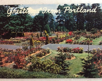 Vintage Postcard Oregon Greetings fom Portland OR Rose Gardens