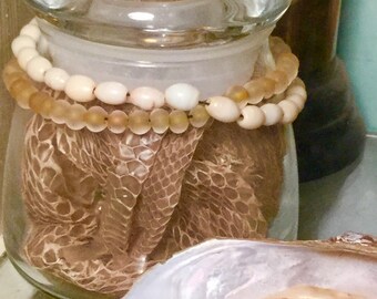 Jar of snakeskin ready for display.