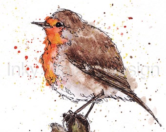 Original Robin bird Watercolour painting giclee Print