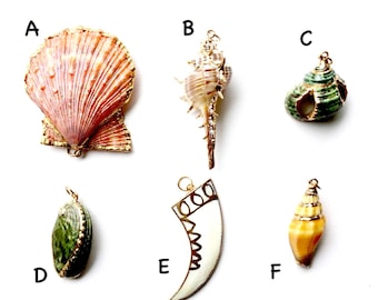Sea Shell Customizable Necklace. You Choose Shell, Chain Style, and Length. A Summer Must Have. FAST Shipping w/Tracking for US Buyers.