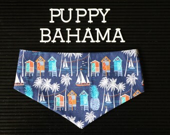 Puppy Bahama bandana