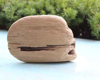 Driftwood 7" piece for Crafting Supply, Jewelry Photo Prop & Coastal Home Decor