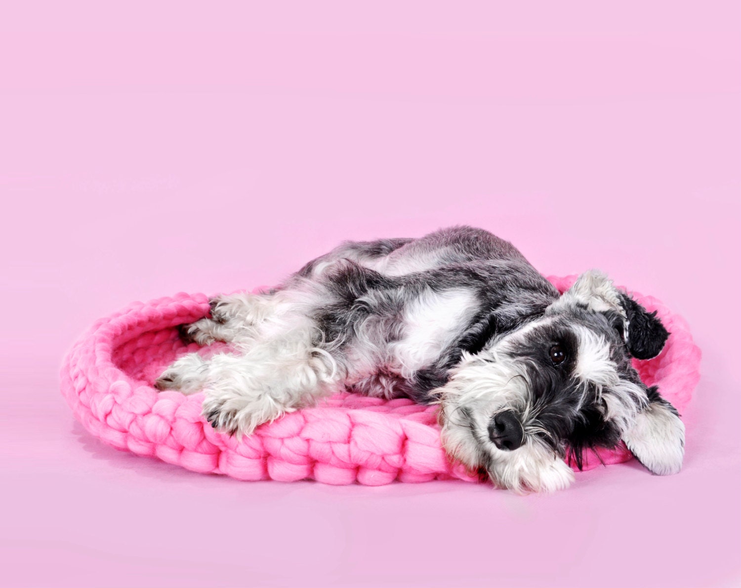 top paw cozy mat