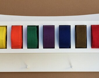 Dragon Martial Arts Belt, Trophy and Medal Display,