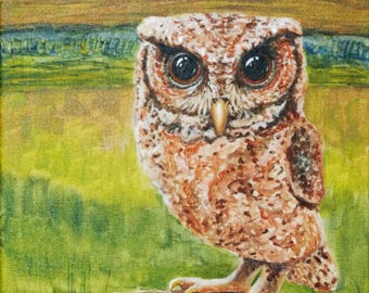Reddish Spotted Scops Owl ~ Original, hand-painted 11x14, unframed. FREE shipping USA