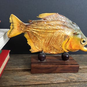 Piranha fish | Etsy