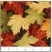 Northcott Maplewood Brown 3 5/8 yard backing
