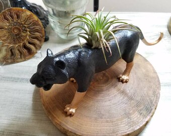 Hand Painted black and gold cat planter ~ cat plant pot ~ air plant pot ~ cat toy planter