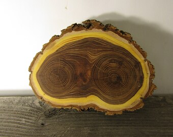 Gorgeous Large Elm Tree Slice- Wall Hanging, Candle Stand, Centerpiece, Large Wood Slice, Cake Stand (WS6007)