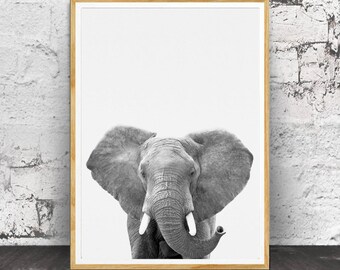 Elephant Animal Print,Nursery Animal Print, Boys Room Wall Art,Safari Nursery Art,Safari Animal, Nursery Printable, Nursery Decor, Animal
