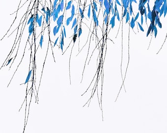 Botanical Bliss - Fine Art photography