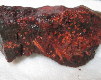 Thick Chunk Olympic Poppy Jasper Orange Brown Jasper Lapidary Free Form Wrap Cut It