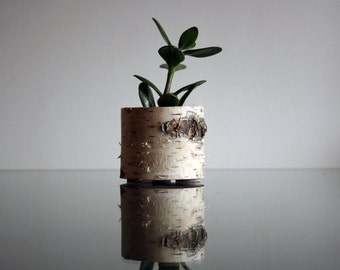 Birch Wood Planter, Succulent planter,Natural Wood, Small Planter, Office Planter, Small Cactus Pot, Cactus planter