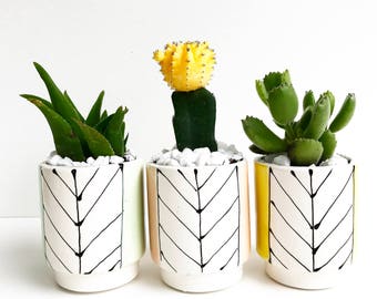 Handmade Ceramic Line Pot Planter with a POP of Color