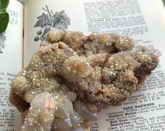 Pastel rainbow aura spirit Quartz cluster faery cactus