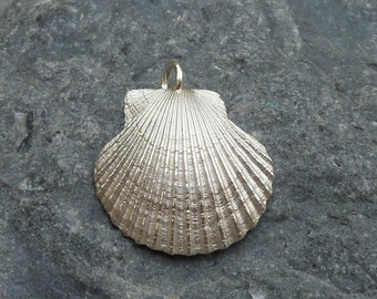 Scallop pendant / necklace in sterling silver...