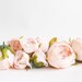 Set of 9 Small to Large Cabbage Roses in Creamy Blush Pink - Flowers, Silk flowers, Artificial Flowers -read description- ITEM 01194