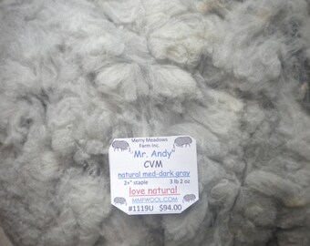 mmfwool 1119U 3 lb 2 oz raw fleece "Mr. Andy" CVM 2+" natural med-dark ray