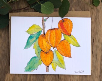 Chinese Lanterns Watercolor & Ink