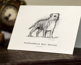 Staffordshire Bull Terrier Greeting Card - Beautifully drawn luxury handmade on heavy textured card. FREE P&P for UK card orders.