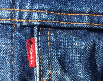 Levi's Big E Type3 Blanket lined Trucker jacket