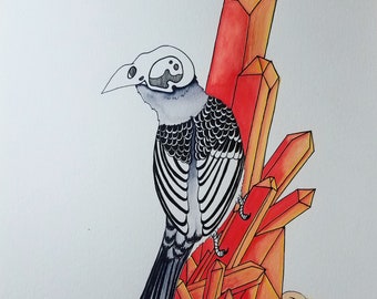 The Zebra Finch