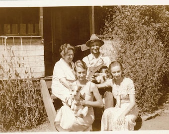 vintage photo Farm Family on Porch Holding lots of Puppy Dogs