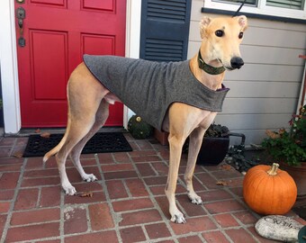 Greyhound Dog Coat, XL Dog Jacket, Charcoal Gray Flannel Herringbone with Plum Fleece Lining