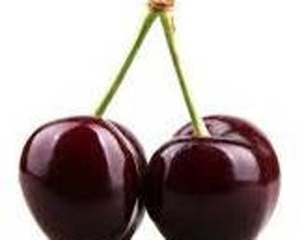 Black Cherry Fragrance Oil - Soap fragrance oil - Scents for soap - Soapmaking supplies - Soap supplies - Multiple sizes available