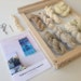 Beginner's Weaving Kit with Loom for Wall Hanging and Tapestry