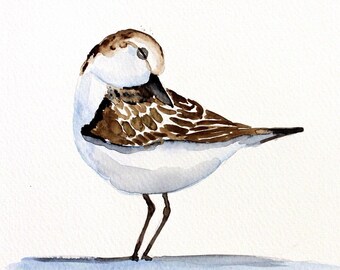 seagull original watercolor painting bird painting seagull painting approx.23,7x16cm (9.48x6.44inch)