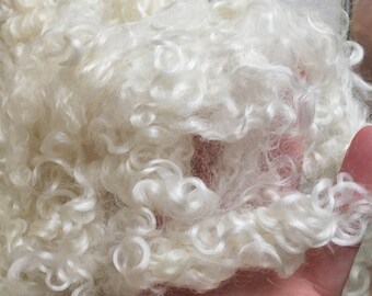 Teeswater, Fleece, Washed, Undyed, White, 2 Ounces, Natural, Fiber, Wool, Spin, Felt, White Clouds