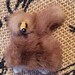 Vintage 1950s Brooch Pin Genuine Mink Fur Poodle Wearing A Gold Tone Collar MCM Funky Jewelry