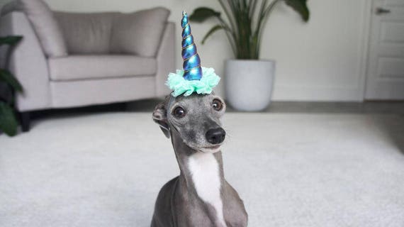 Mini Unicorn Horn || Dog Unicorn Headband || Unicorn Headband for Dog || Pet Unicorn Costume || Dog Unicorn || Unicorn Dog