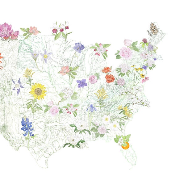 Download STATE FLOWERscape Map Drawing Art Print 48 State Flowers