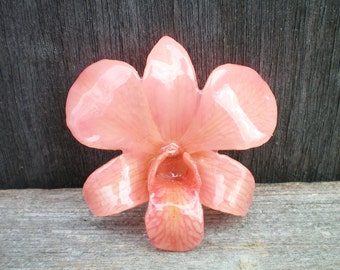 Free Shipping REAL Natural Pretty in Pink ORCHID in Poly Resin Pin and Pendant