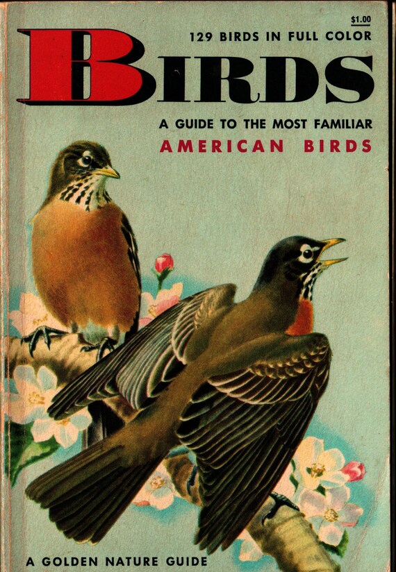 Birds Guide to the Most Familiar American Birds A Golden Nature Guide + Herbert Zim, Ira Gabrielson, James Gordon Irving (1956) Vintage Book