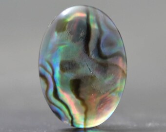 Abalone Cabochon Doublet in Glass Iridescent Chatoyant Organic Sea Cabochon (V717)