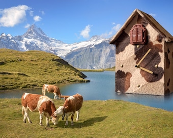 Watch; Cuckoo clock; cuckoo clock; clock; Wall clock; Table clock; Gift; Especially; Exceptional; Extravagant; Decoration; Residential; Moo time;
