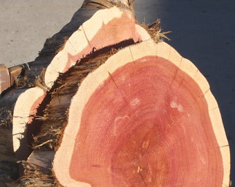 Wood slice centerpiece, tree slice for centerpiece, rustic wedding decor, woodland wedding decor, large wood round, 12" - 18" x 2" thick