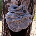 Crochet Scarf PATTERN, Chunky Ruffle Scarf, Cozy Scarf, Fashion Scarf, DIY Gift, For Her, Instant Download Pattern PDF #196, Lyubava Crochet