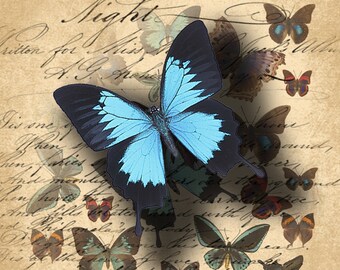 INSTANT DOWNLOAD Digital Collage Sheet Big Butterflies in Blue for your Artwork - DigitalPerfection digital collage sheet 084