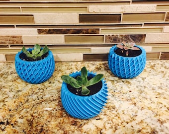 Trio of Succulent planters - combo of 3!