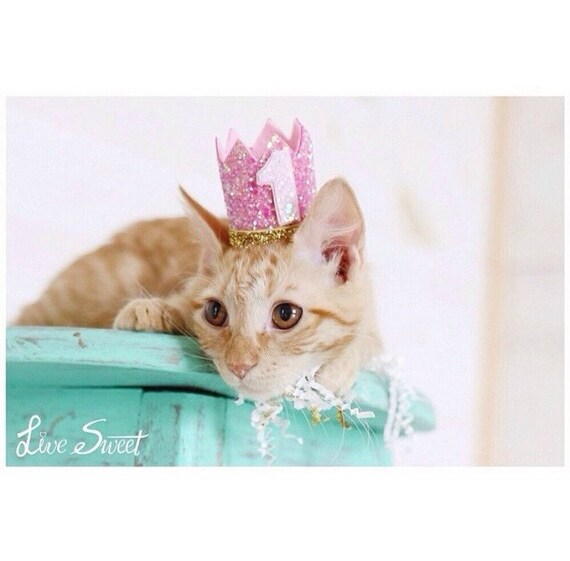 Cat Crown || Cat Hat || Kitty Cat Birthday Crown || Animal Crown || Animal Party || Pet Birthday Party Outfit || Cat Costume || Cat Toys