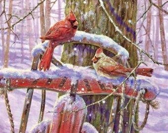 Red Bird Cardinals Snow Sled Graphic Image Art Fabric Block Doodaba